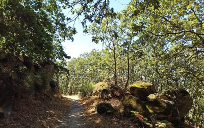Ruta A Fala por la Sierra de Gata: senderismo, cultura y lengua viva