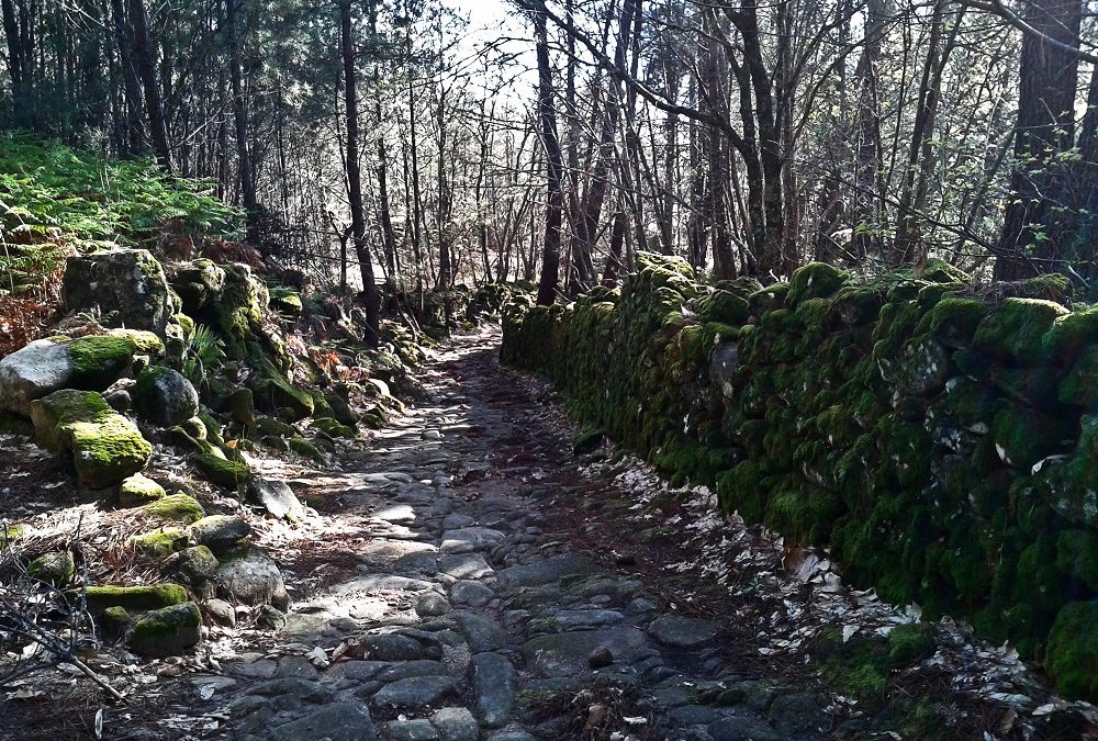 rutas de senderimos en Villamiel
